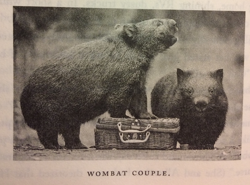 My favorite photo, from Page 236.